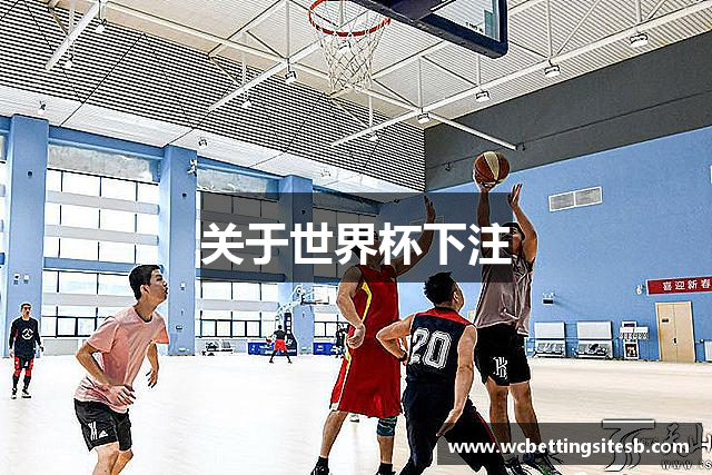 关于世界杯下注